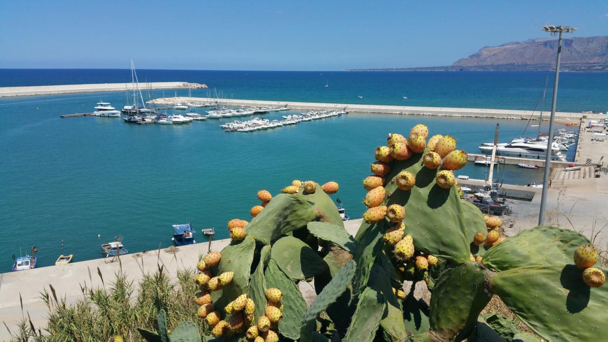 Loft In Balestrate Vicino Al Mare - Rental Beb ภายนอก รูปภาพ